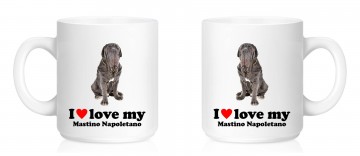 Mok d029 mastino napoletano